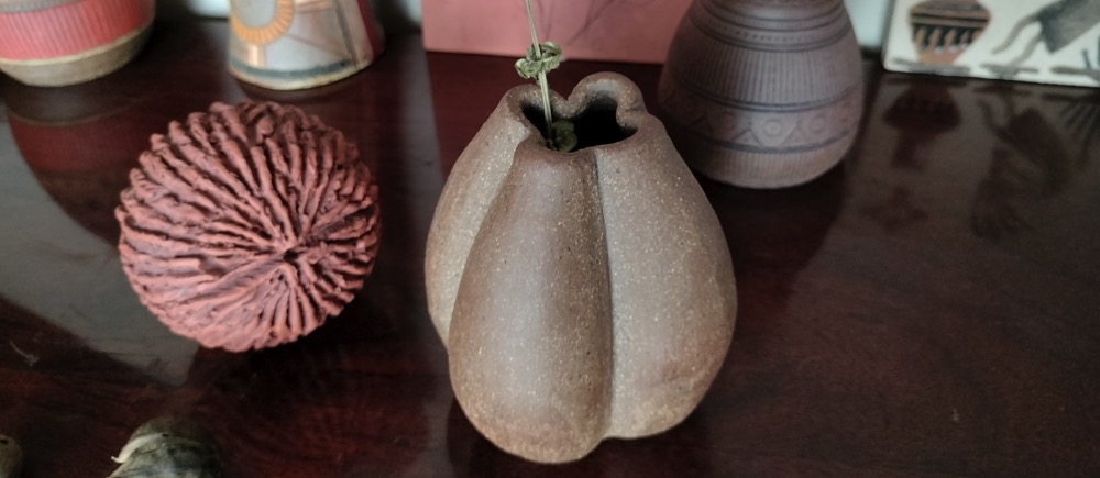 Seed pod vase and sculpture